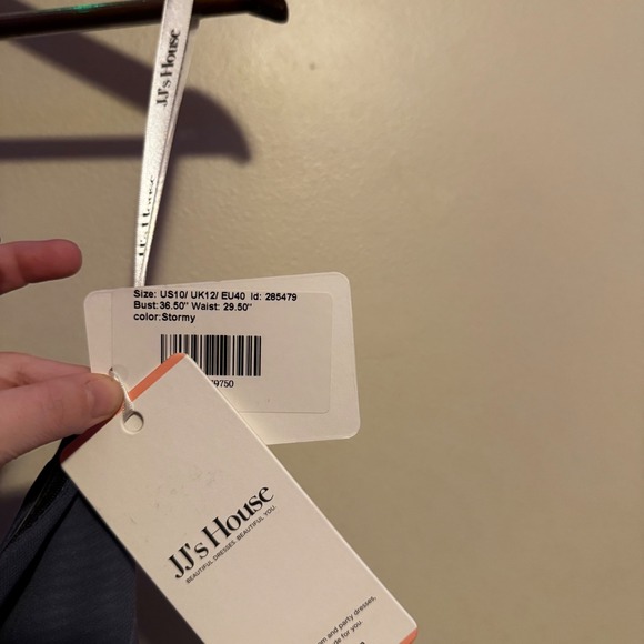 NWT JJ's House Stormy Chiffon Dress US 10 Formal Bridesmaid Prom Wedding - Picture 4 of 4